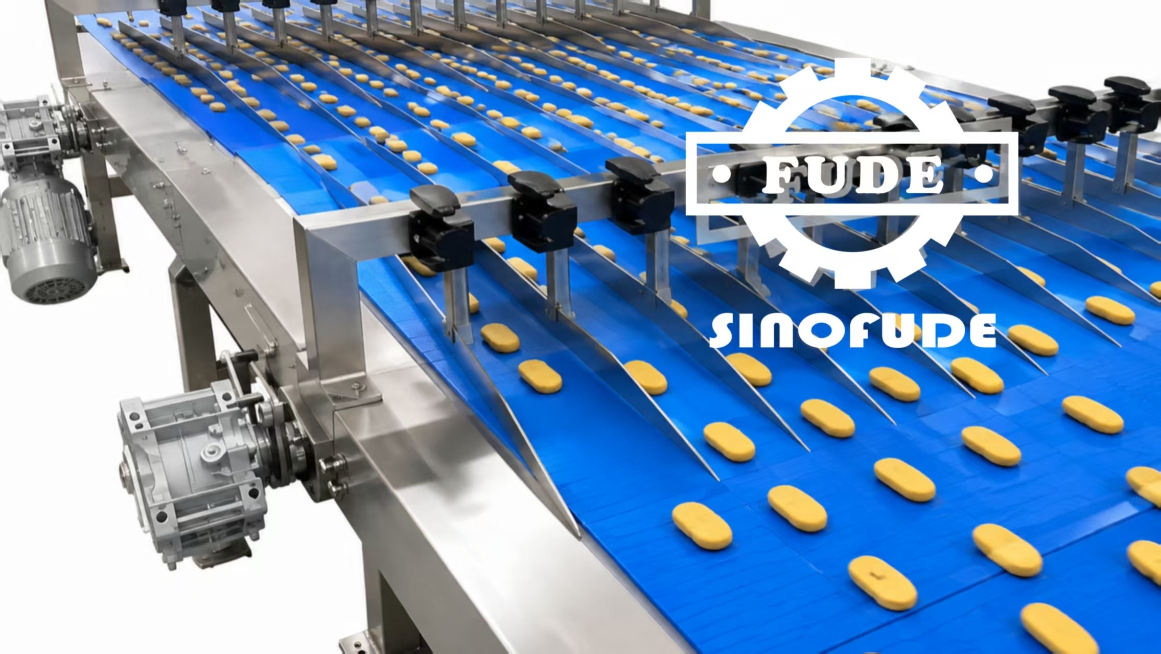 Industrial Biscuit Cookie Bakery Line Selection