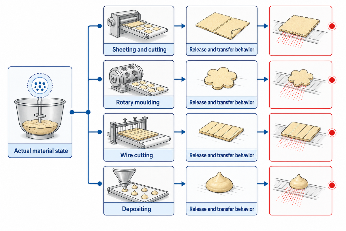 Forming route follows measured material state, release and transfer behavior, not the finished-product name.